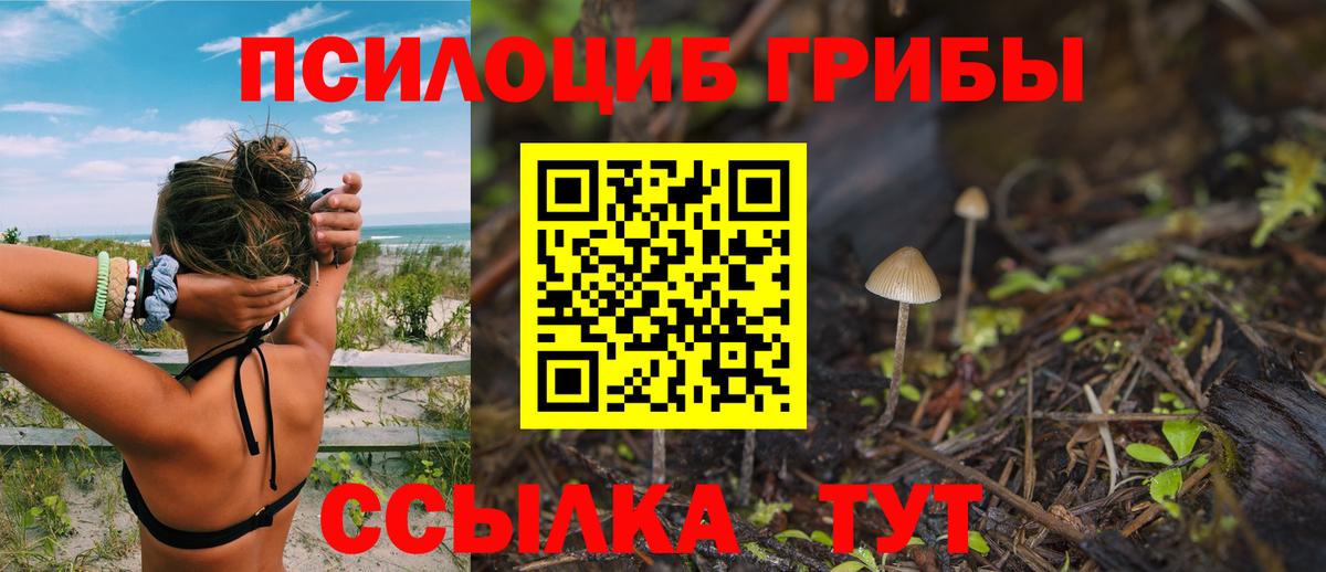 Псилоцибиновые грибы ЛСД  Вход с VPN  Аксай 